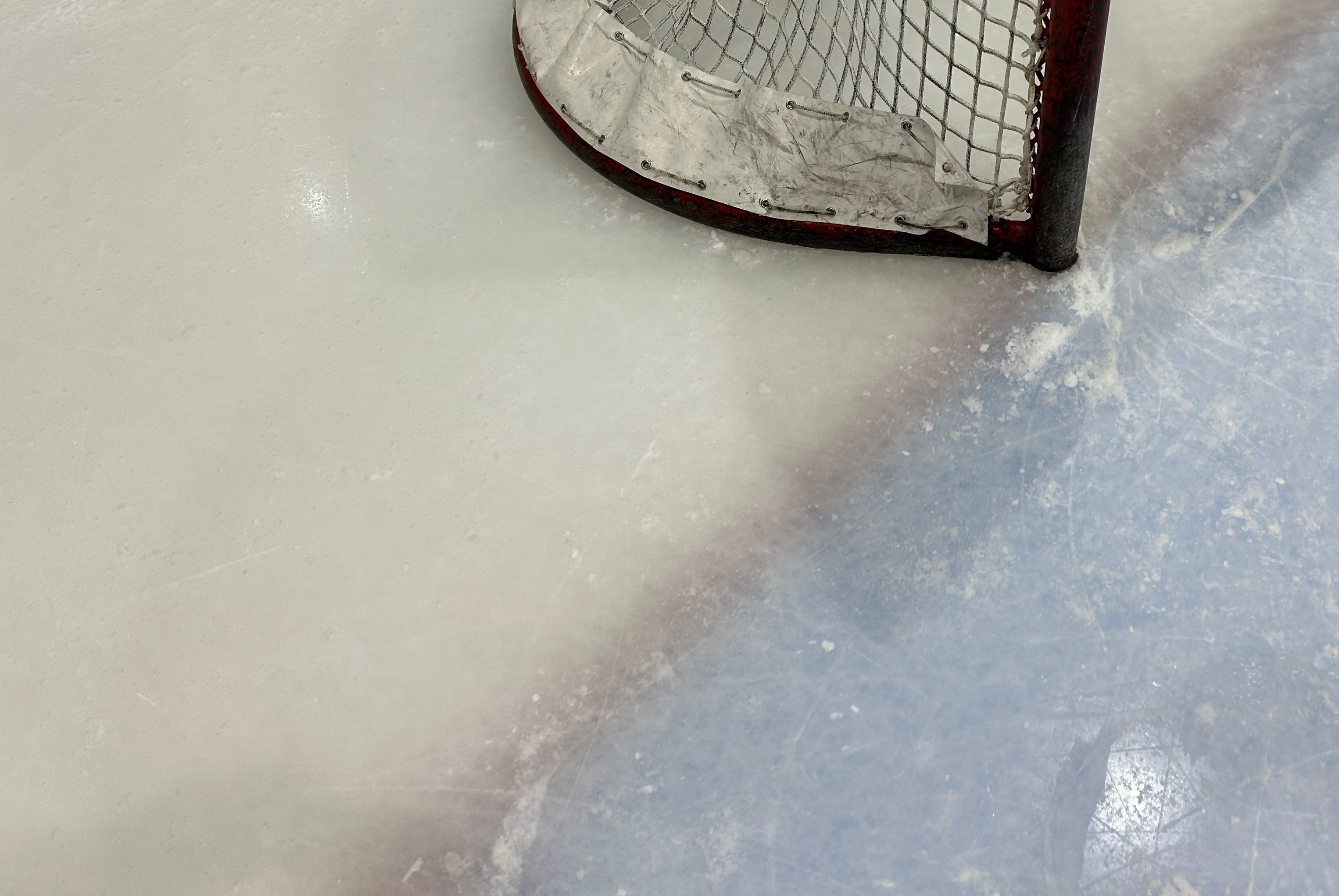 Goalie training session